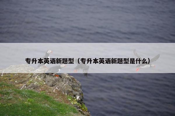 专升本英语新题型（专升本英语新题型是什么）