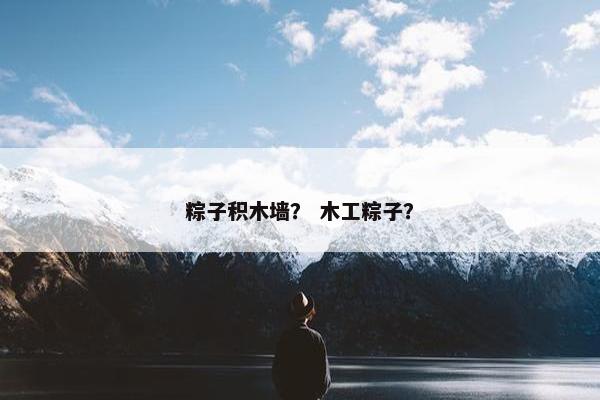 粽子积木墙？ 木工粽子？