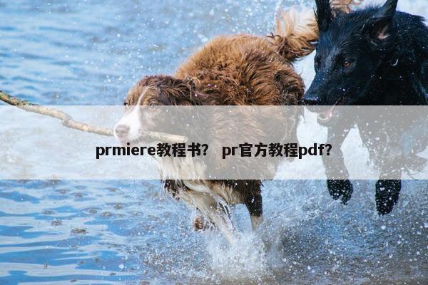 prmiere教程书? pr官方教程pdf? prmiere教程书? pr官方教程pdf?