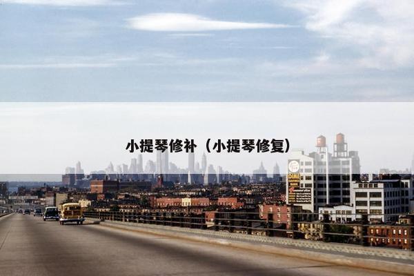 小提琴修补（小提琴修复）