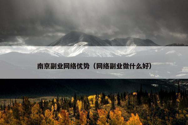 南京副业网络优势（网络副业做什么好）