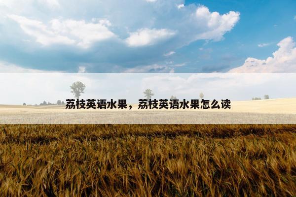 荔枝英语水果，荔枝英语水果怎么读