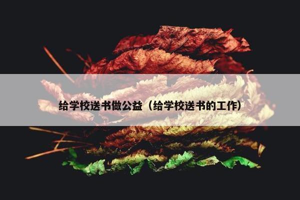 给学校送书做公益（给学校送书的工作）
