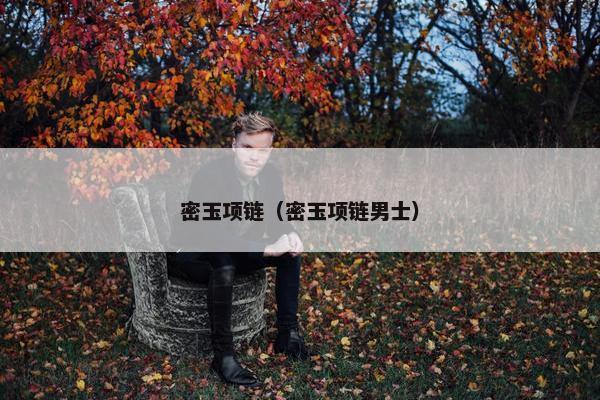 密玉项链(密玉项链男士) 密玉项链(密玉项链男士)