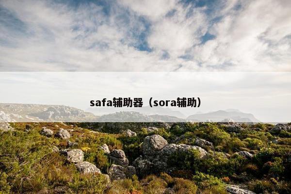 safa辅助器(sora辅助) safa辅助器(sora辅助)