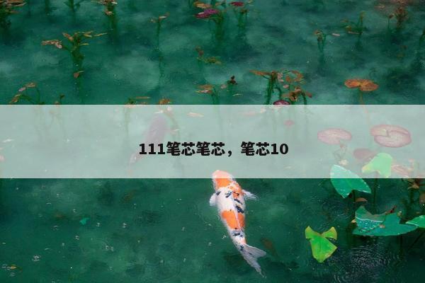 111笔芯笔芯，笔芯10
