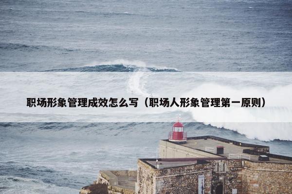 职场形象管理成效怎么写（职场人形象管理第一原则）