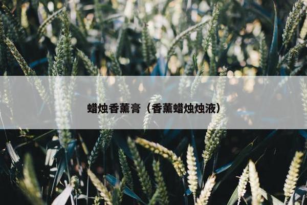 蜡烛香薰膏（香薰蜡烛烛液）