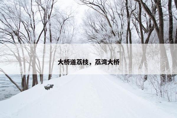 大桥道荔枝，荔湾大桥