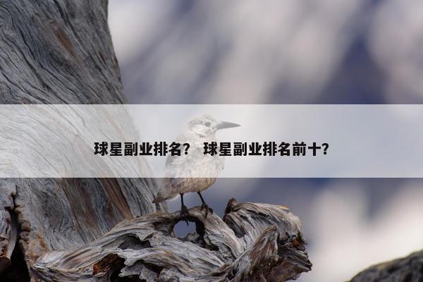 球星副业排名？ 球星副业排名前十？
