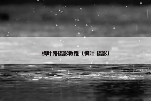 枫叶路摄影教程（枫叶 摄影）