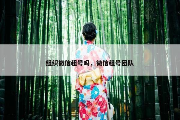 组织微信租号吗，微信租号团队