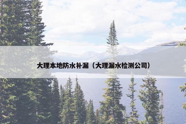 大理本地防水补漏（大理漏水检测公司）