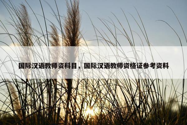 国际汉语教师资科目，国际汉语教师资格证参考资料