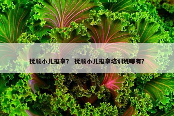 抚顺小儿推拿？ 抚顺小儿推拿培训班哪有？