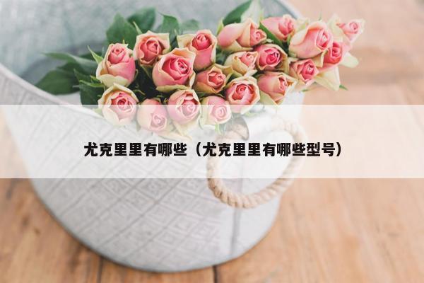 尤克里里有哪些（尤克里里有哪些型号）