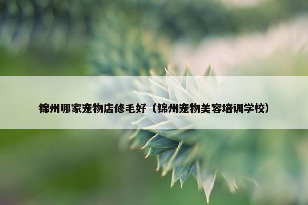锦州哪家宠物店修毛好（锦州宠物美容培训学校）