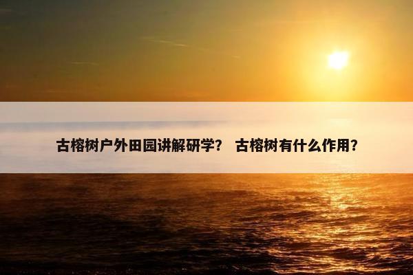 古榕树户外田园讲解研学？ 古榕树有什么作用？