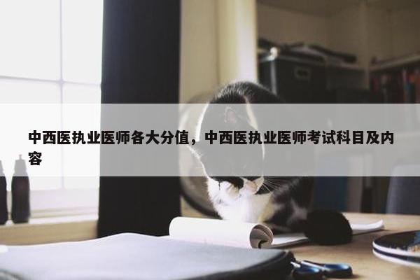 中西医执业医师各大分值,中西医执业医师考试科目及内容 中西医执业医师各大分值,中西医执业医师考试科目及内容