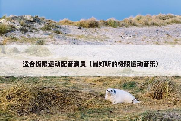 适合极限运动配音演员（最好听的极限运动音乐）