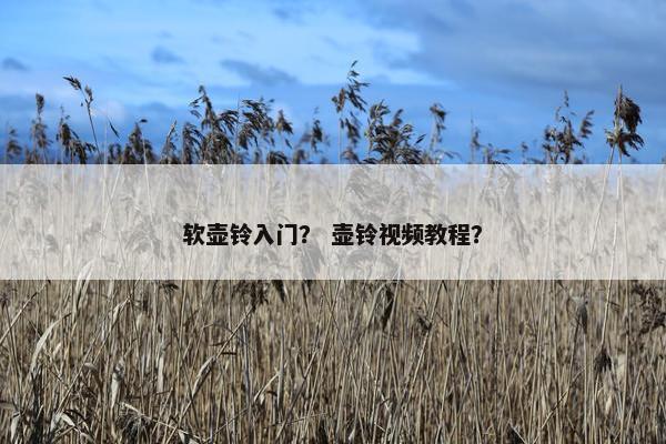 软壶铃入门？ 壶铃视频教程？