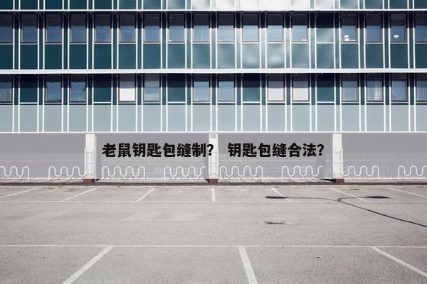 老鼠钥匙包缝制? 钥匙包缝合法? 老鼠钥匙包缝制? 钥匙包缝合法?