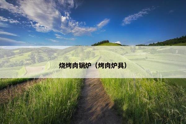 烧烤肉锅炉(烤肉炉具) 烧烤肉锅炉(烤肉炉具)