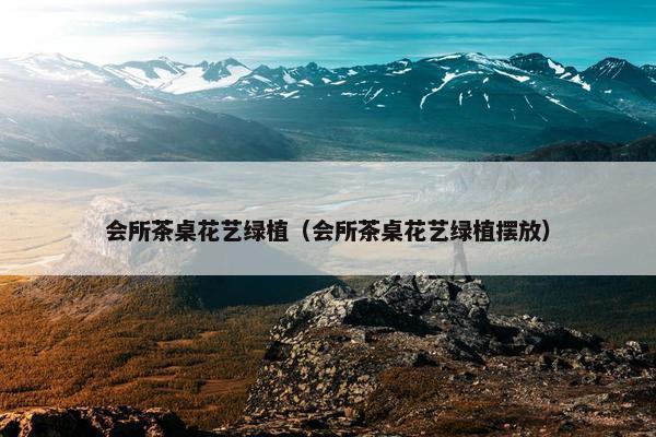 会所茶桌花艺绿植（会所茶桌花艺绿植摆放）