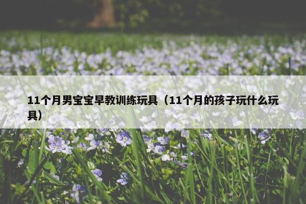 11个月男宝宝早教训练玩具（11个月的孩子玩什么玩具）