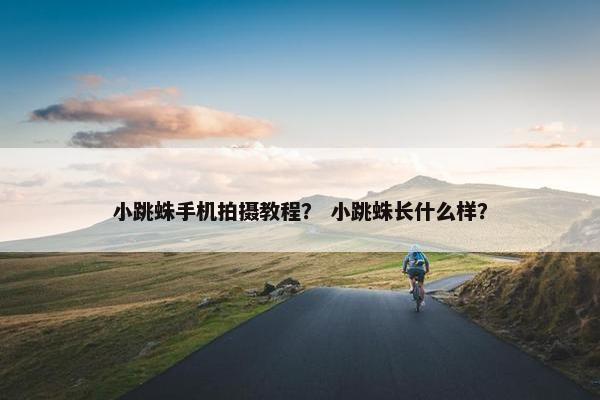 小跳蛛手机拍摄教程？ 小跳蛛长什么样？