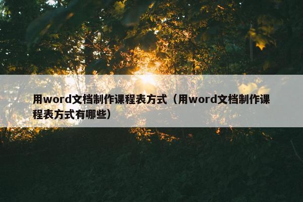 用word文档制作课程表方式（用word文档制作课程表方式有哪些）