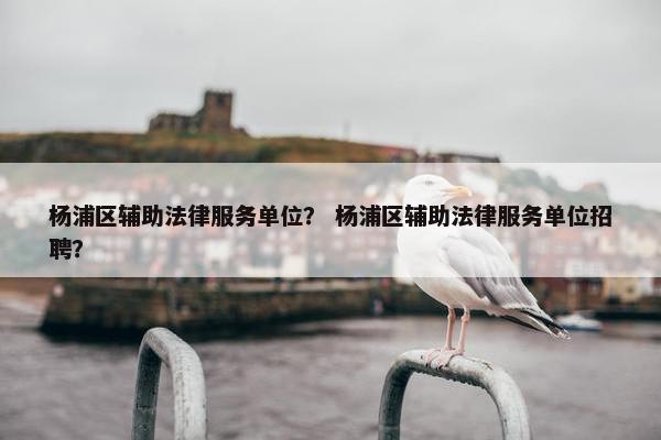 杨浦区辅助法律服务单位？ 杨浦区辅助法律服务单位招聘？