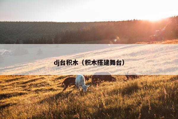 dj台积木（积木搭建舞台）