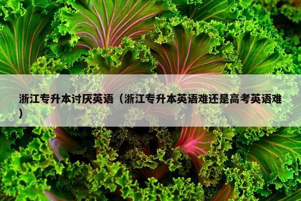 浙江专升本讨厌英语（浙江专升本英语难还是高考英语难）