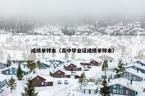 成绩单样本(高中毕业证成绩单样本) 成绩单样本(高中毕业证成绩单样本)