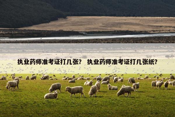 执业药师准考证打几张？ 执业药师准考证打几张纸？