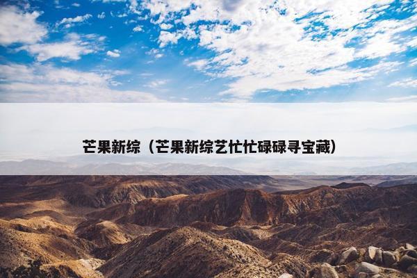 芒果新综（芒果新综艺忙忙碌碌寻宝藏）