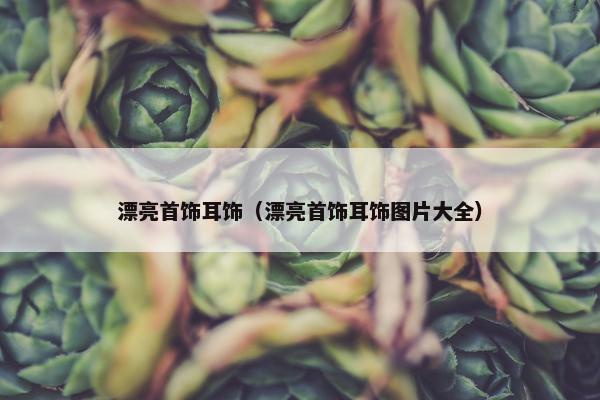 漂亮首饰耳饰（漂亮首饰耳饰图片大全）
