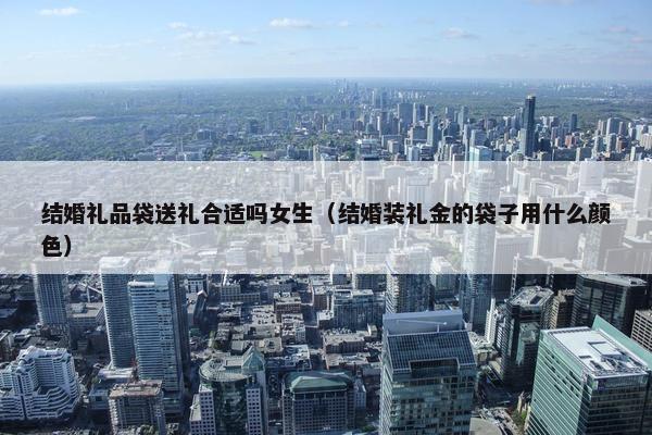 结婚礼品袋送礼合适吗女生（结婚装礼金的袋子用什么颜色）