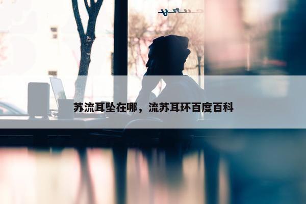 苏流耳坠在哪，流苏耳环百度百科