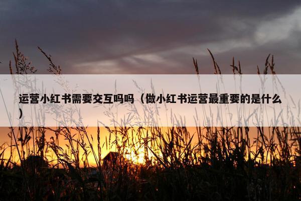 运营小红书需要交互吗吗(做小红书运营最重要的是什么) 运营小红书需要交互吗吗(做小红书运营最重要的是什么)