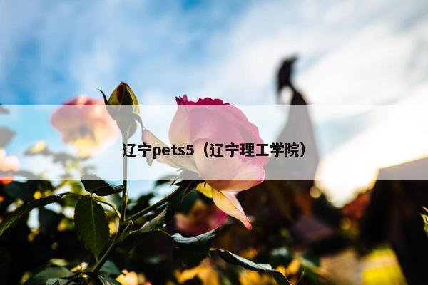 辽宁pets5(辽宁理工学院) 辽宁pets5(辽宁理工学院)