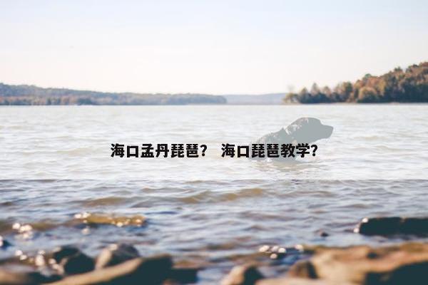 海口孟丹琵琶？ 海口琵琶教学？