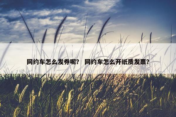 网约车怎么发券呢？ 网约车怎么开纸质发票？