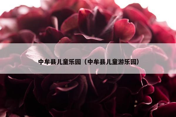 中牟县儿童乐园（中牟县儿童游乐园）