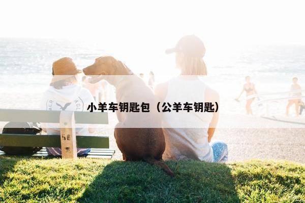 小羊车钥匙包（公羊车钥匙）