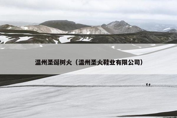 温州圣诞树火（温州圣火鞋业有限公司）