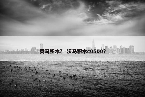 奥马积木？ 沃马积木c0500？