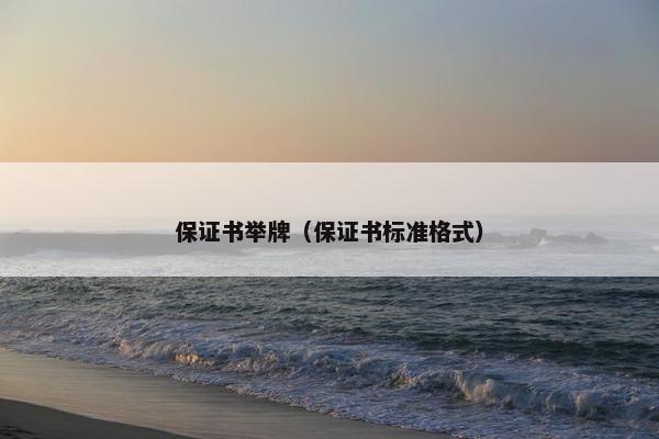 保证书举牌（保证书标准格式）