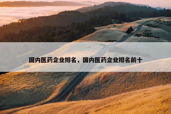 国内医药企业排名，国内医药企业排名前十